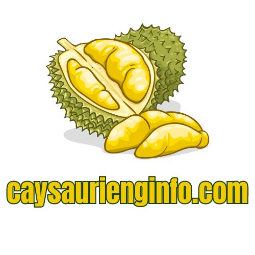 caysaurienginfo.com